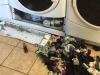 Женщина нашла место, куда пропадают носки из стиральной машины, и оно реально существует Где пропадают носки